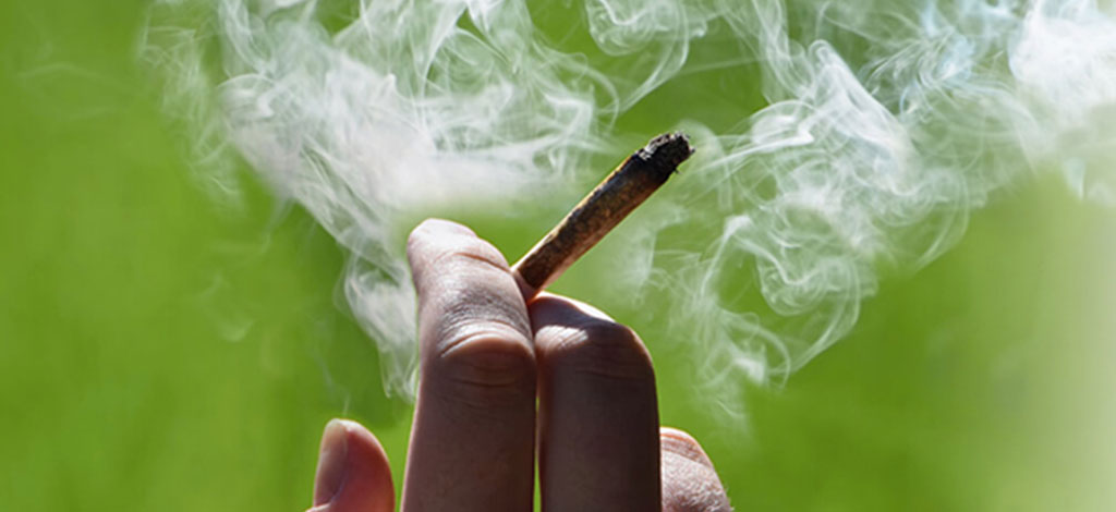 Generation Cannabis